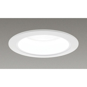 LEKD25011FN-LD9 ��̌`�_�E�����C�g2500��ʌ`���F��75 ���Ń��C�e�b�N 68831948