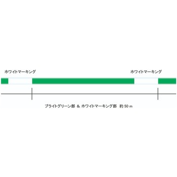 ソルティメイト メガスラム×8 SUNLINE
