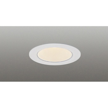 LEDD-05305WW-RD1 一体形ダウンライト500 東芝ライテック 68833436