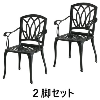 アルカウン チェアー 2脚セット タカショー