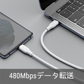 VOLTME モスシリーズ 60W USB-C & USB-C VOLTME