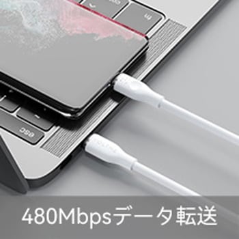 VOLTME モスシリーズ 100W USB-C & USB-C VOLTME