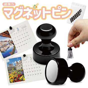 マグネットピン20個セット トライメイト