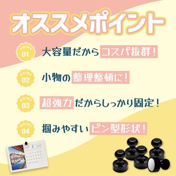 マグネットピン20個セット トライメイト