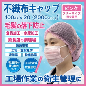 - �s�D�z�L���b�v �G�X�p�b�N �s���N�F �t���[�T�C�Y 1�P�[�X(100���~20��) 68844889