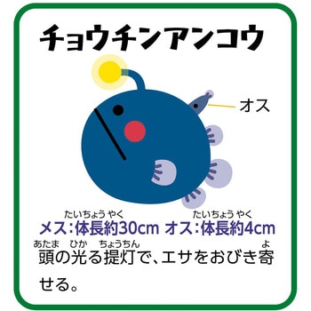 ふかいうみのいきものバランスゲーム アーテック[学校教材・教育玩具]