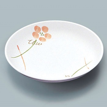 菜皿 三信化工