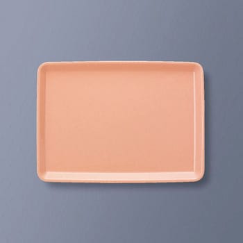 パブリック・トレイ 長方形 三信化工