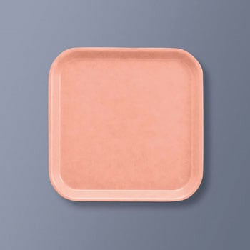 エスタートレイ 角 三信化工