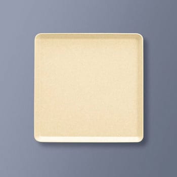 ポリプロトレイ 角 三信化工