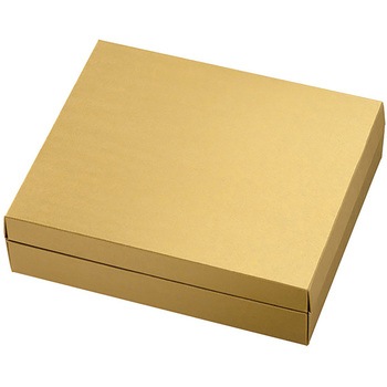 MTG-GSS ���n�M�t�gBOX HEADS(�w�b�Y) ����1.1mm����(���~���s�~����)235�~195�~64mm 1�p�b�N(10��) MTG-GSS 68940667