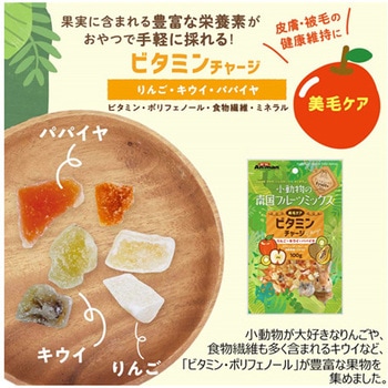 小動物の南国フルーツミックス 100g ドギーマン