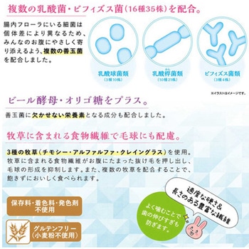 ラビットグルメ 腸活生活 900g ドギーマン