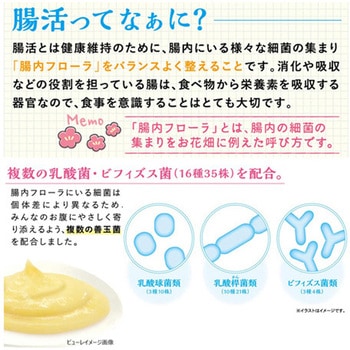 腸活生活 ハムちゃんぴゅ～れ 3g×10個 ドギーマン