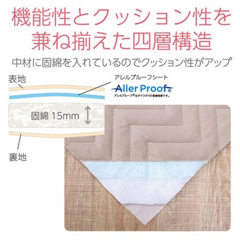 寝具 オールシーズン 快適睡眠 ベッドパッド 抗菌消臭 洗濯機OK イケヒコ・コーポレーション