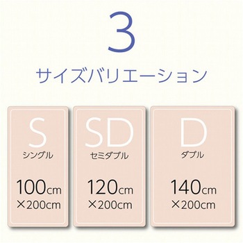 寝具 オールシーズン 快適睡眠 ベッドパッド 抗菌消臭 洗濯機OK イケヒコ・コーポレーション