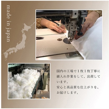 座布団 銘仙判 しじら 日本製 綿100% 和柄 約55×59cm - イケヒコ・コーポレーション