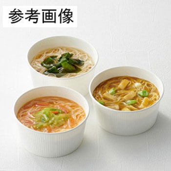 スープ素麺 18個入 ADシリーズ 池利