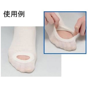 LEG SCIENCE(レッグサイエンス)10足入 KBS001シリーズ - グンゼ