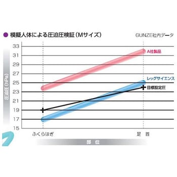 LEG SCIENCE(レッグサイエンス)10足入 KBS001シリーズ - グンゼ