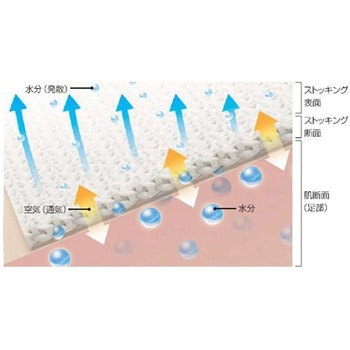 LEG SCIENCE(レッグサイエンス)10足入 KBS001シリーズ - グンゼ
