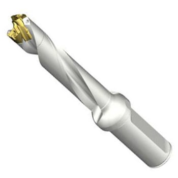 DE10-D1700-170L20-5 CoroDrill DE10 �w�b�h�������h���� SANDVIK 68984986