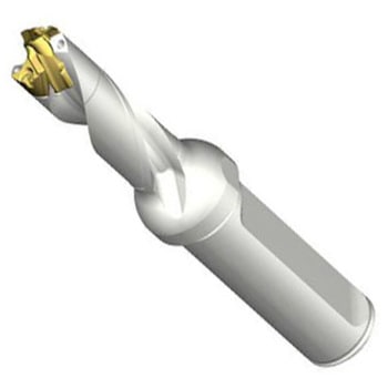 DE10-D1250-125L16-3 CoroDrill DE10 �w�b�h�������h���� SANDVIK 68987549