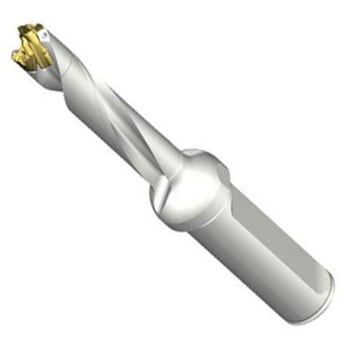 DE10-D1100-110LX16-5 CoroDrill DE10 �w�b�h�������h���� SANDVIK 68987585