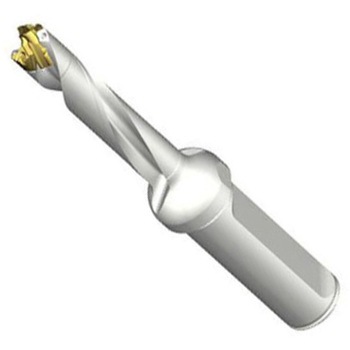 DE10-D1050-105LX16-5 CoroDrill DE10�w�b�h�������h����(446) SANDVIK 68989527