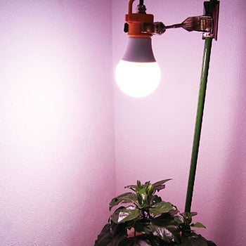 植物育成用クリップランプ 富士倉 クリップ式投光器 通販モノタロウ Ky 08w Sc