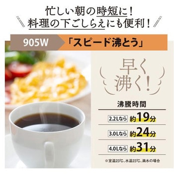 AC100V/ 905W/4.0L VE電気まほうびん エスコ