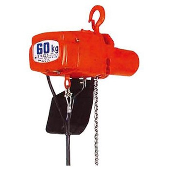AC100V/250kg 12.0m 電動チェーンブロック エスコ