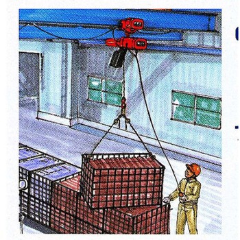 AC100V/250kg 12.0m 電動チェーンブロック エスコ