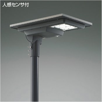 WE56350 �|�[�� �R�C�Y�~ 69095279