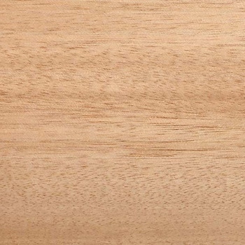 36004033050 �t�@���V�[���[�� �I�N���S���t �t�@���V�[���[�� ����50m 1�� 69100809