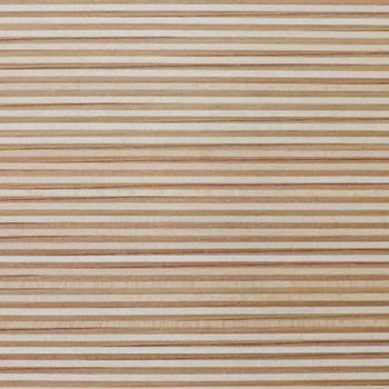 26001018050 �t�@���V�[���[�� �X�g���C�v�E�b�h(�o�[�`����)�S���Ȃ� �t�@���V�[���[�� ����50m 1�� 69102087