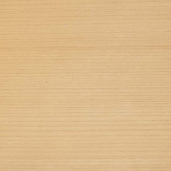 34004024050 �t�@���V�[���[�� �O(�q�m�L)�S���t �t�@���V�[���[�� ����50m 1�� 69101631