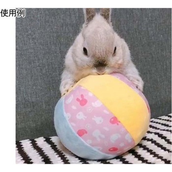 ウサギのおもちゃ おっきなやわらかボール ドギーマン