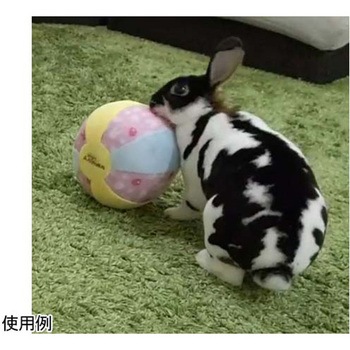 ウサギのおもちゃ おっきなやわらかボール ドギーマン