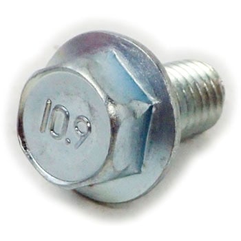 8X15 10�D9�t�����WBT(2��(�S/�O���z���C�g) ��㍰ �Ă�M8����15mm 1�p�b�N(10��) 69151994