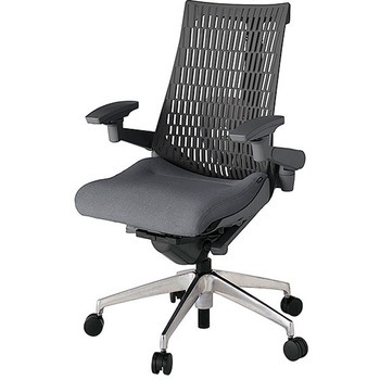 KJ427SA-MZDT3W2 アクト2 背エラストマー 4D可動肘 ランバーサポート付 アルミミラー脚 <配送時組立サービス付> イトーキ 69164640