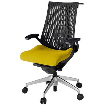 KJ425PSHZTU5T1 アクト2 背エラストマー 固定肘 ランバーサポート付 ハンガー付 アルミミラー脚 <配送時組立サービス付> イトーキ 69175630