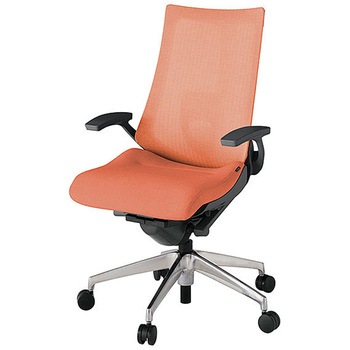 KJ-455JEM-ZDD4 �A�N�g2 �w�e�N�X�`���[�h���b�V�� �Œ�I �����o�[�T�|�[�g�t �A���~�~���[�r <�z�����g���T�[�r�X�t> �C�g�[�L 69186647