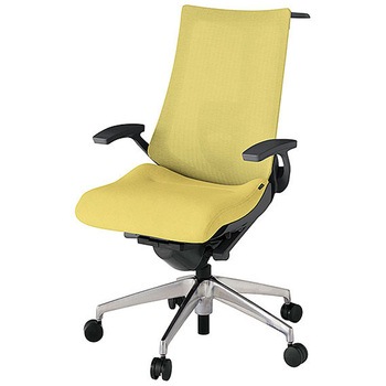 KJ-455JEH-ZDU6 �A�N�g2 �w�e�N�X�`���[�h���b�V�� �Œ�I �����o�[�T�|�[�g�t �n���K�[�t �A���~�~���[�r <�z�����g���T�[�r�X�t> �C�g�[�L 69187015