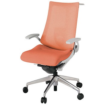 KJ-455JEHM-ZND4 �A�N�g2 �w�e�N�X�`���[�h���b�V�� �Œ�I �����o�[�T�|�[�g�t �n���K�[�t �A���~�~���[�r <�z�����g���T�[�r�X�t> �C�g�[�L 69187207