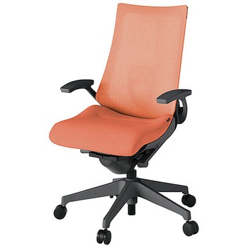 KJ-455JE-W2D4 �A�N�g2 �w�e�N�X�`���[�h���b�V�� �Œ�I �����o�[�T�|�[�g�t �����r <�z�����g���T�[�r�X�t> �C�g�[�L 69189097