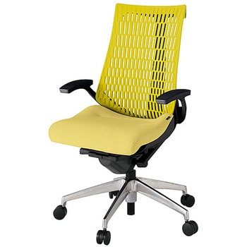 KJ445SA-ZTU6U5 アクト2 背エラストマー 固定肘 アルミミラー脚 <配送時組立サービス付> イトーキ 69207209