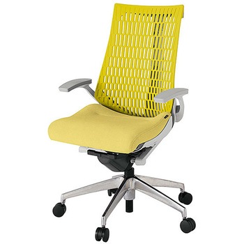 KJ445SA-ZNU6U5 アクト2 背エラストマー 固定肘 アルミミラー脚 <配送時組立サービス付> イトーキ 69207446