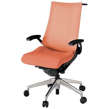 KJ-475JEH-ZTD4 �A�N�g2 �w�e�N�X�`���[�h���b�V�� �Œ�I �n���K�[�t �A���~�~���[�r <�z�����g���T�[�r�X�t> �C�g�[�L 69228857