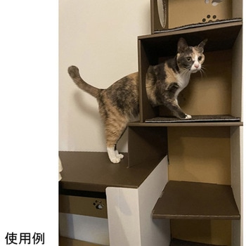 ネコ&テレワークデスク コイズミファニテック